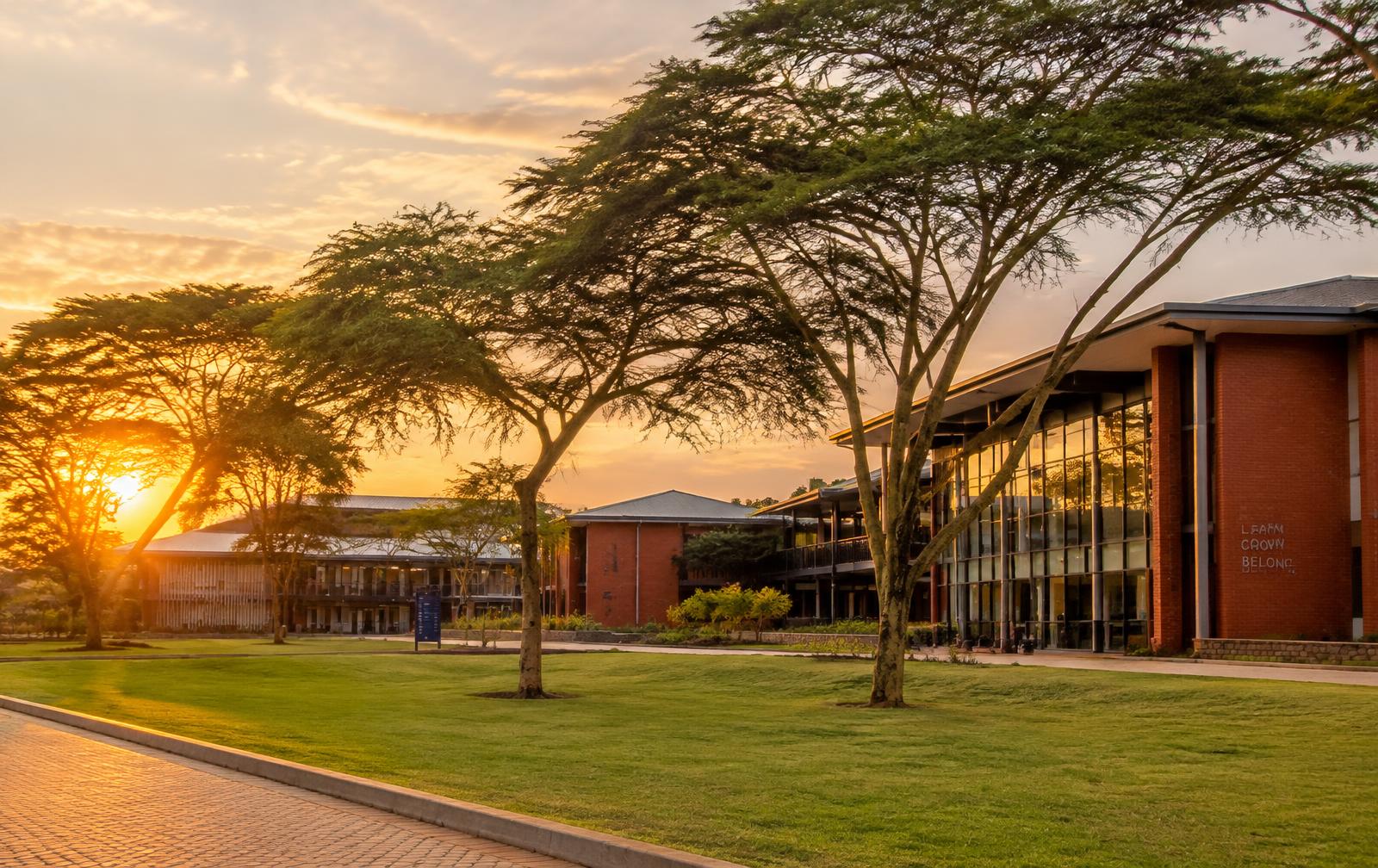 Illustrative school campus buildings at golden hour